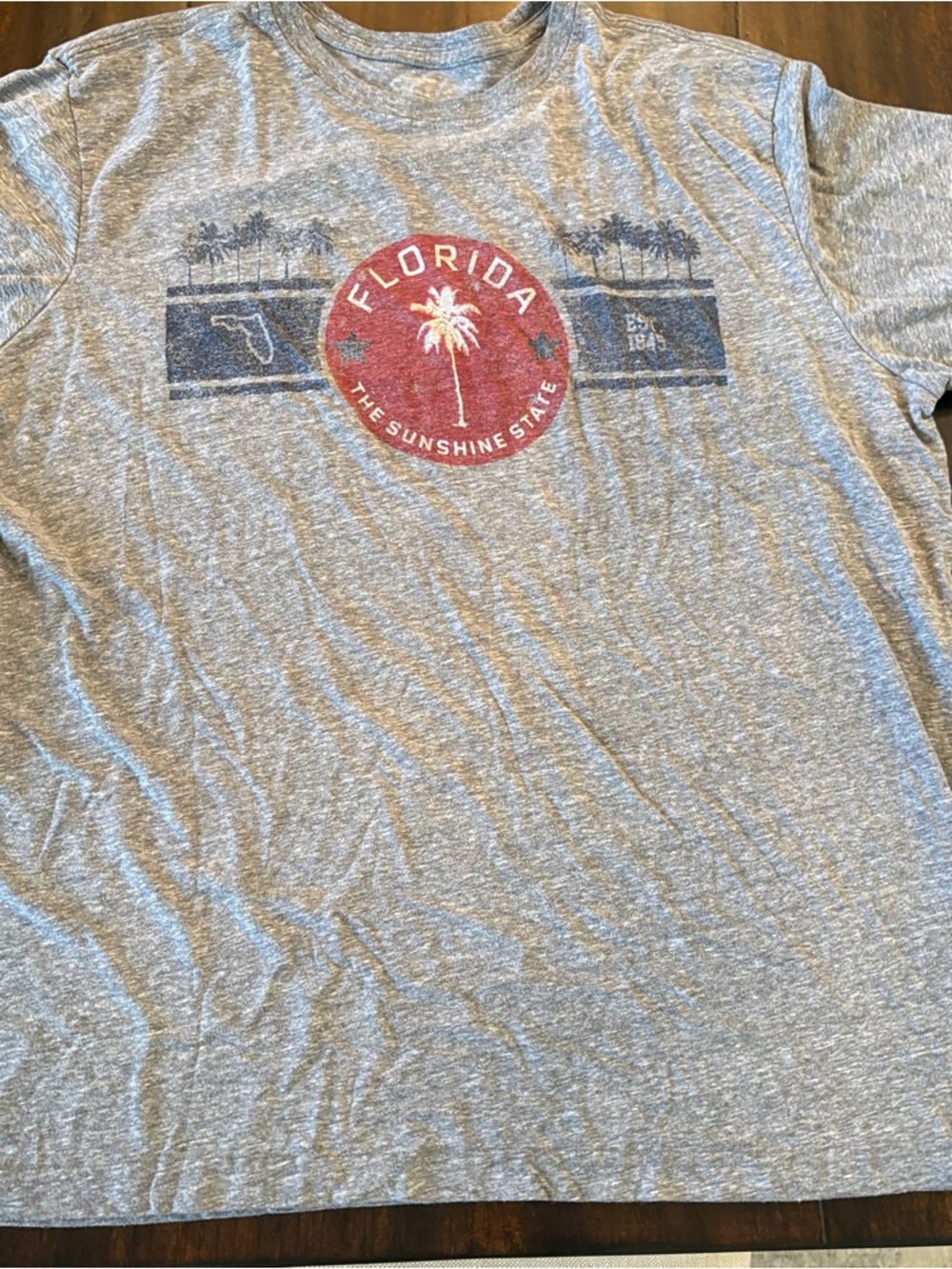 Men's Vintage Graphic Short Sleeve Heather Gray Florida Tee